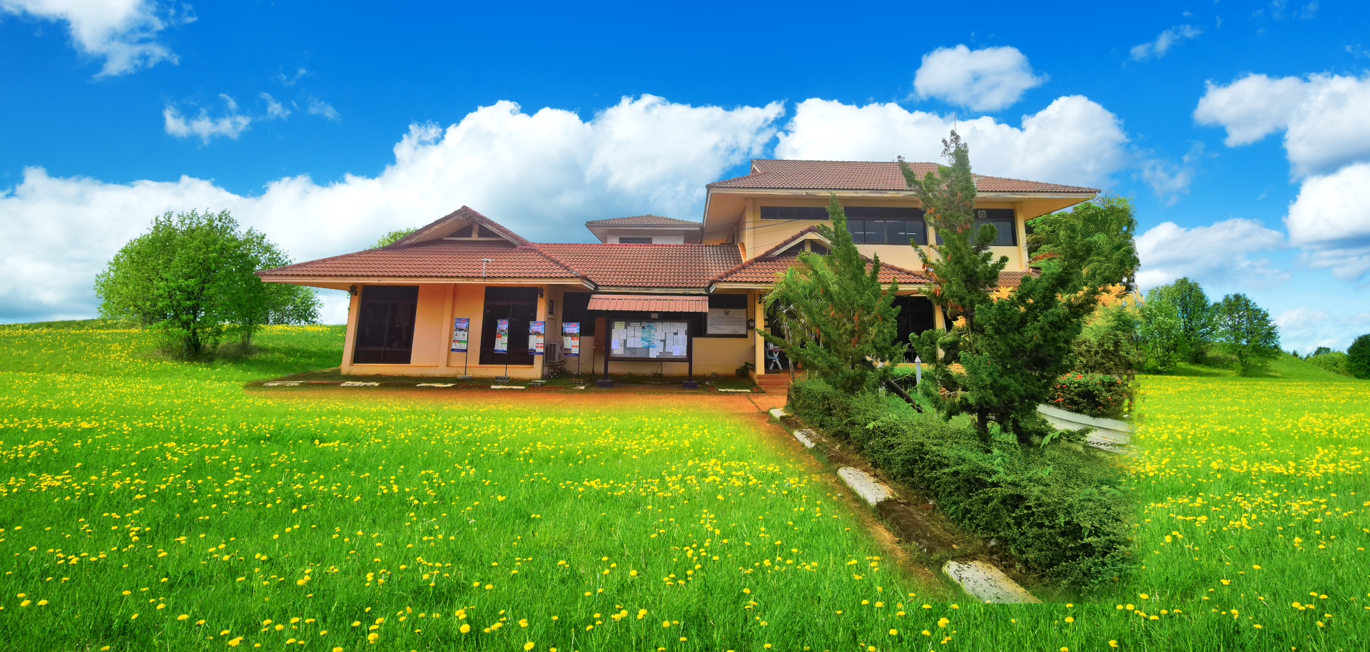 พื้นหลัง